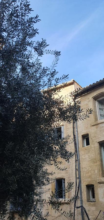 Le Petit Olivier En Coeur De Ville + Parking Incl. Montpellier Exterior photo